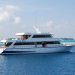 Maldives Conte Max liveaboard review small