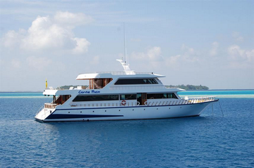 Maldives Conte Max Liveaboard Review