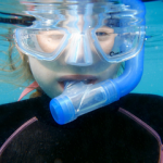 Maldives Liveaboard With Kids (Family Scuba Diving Holidays) Maldives Liveaboard With Kids - Family Scuba Diving Holidays small
