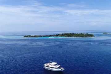 Maldives Maavahi Liveaboard Review