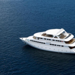 Maldives Ocean Sapphire liveaboard review smaller
