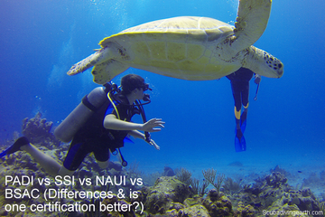 PADI vs SSI vs NAUI vs BSAC (Differences & is one certification better?)