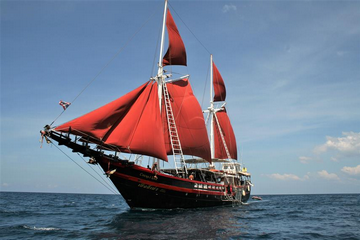 Myanmar Diving Liveaboard (From Phinisi liveaboard to Smiling Seahorse)
