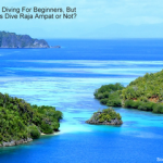 Raja Ampat Diving For Beginners (Can Novices Dive Raja Ampat or Not?) Raja Ampat Diving For Beginners but Can Novices Dive Raja Ampat or Not small