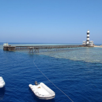 Red Sea Daedalus Reef Dive Site: Shark Diving + Tech Wreck Dive Red Sea Daedalus Reef Dive Site small