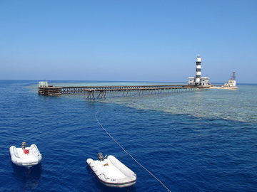 Red Sea Daedalus Reef Dive Site: Shark Diving + Tech Wreck Dive