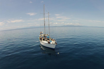Charter Dive Liveaboard Great Barrier Reef (A 20 Metre Motor Sailing Schooner)