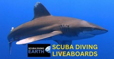 Scuba Diving Earth