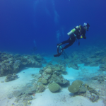 Is Scuba Diving in Freshwater Different from Saltwater Scuba diver - Is Scuba Diving in Freshwater Different from Saltwater small