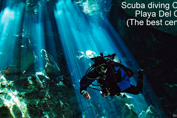 Scuba Diving Cenotes Playa Del Carmen (The Best Cenotes To Dive)