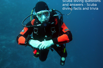 Scuba Diving Questions And Answers (Scuba Diving Facts And Trivia)