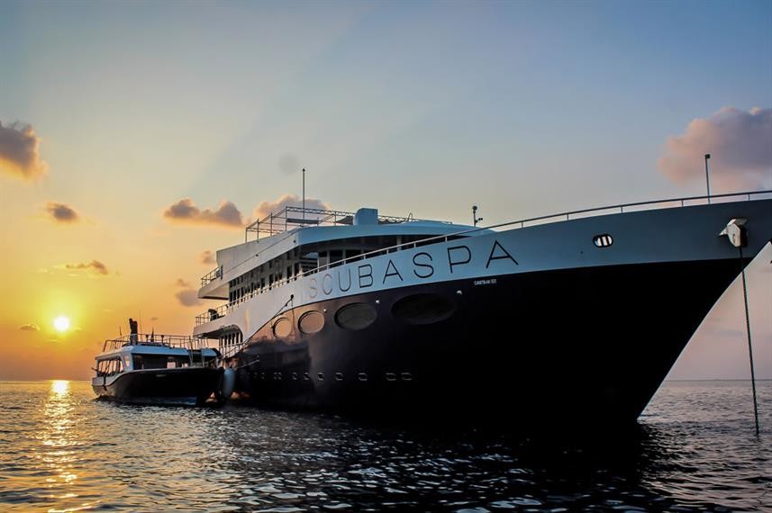 How Many Dives Do You Need For A Liveaboard?
