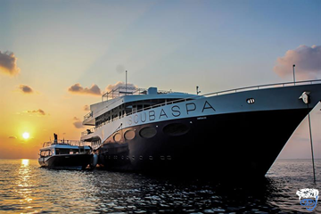 Scubaspa Yang Liveaboard Review For Diving (Exceptional Maldives Liveaboard)