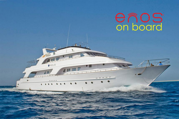 Seawolf Diving Safari Boats: Red Sea Dive Safaris