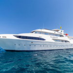Seawolf Dominator Liveaboard Review - Boat of Seawolf Dive Safaris small