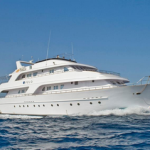 Seawolf Felo Liveaboard review small