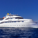 Seawolf Soul Liveaboard Review small