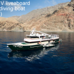 Solmar V liveaboard - Shark diving boat reviews small