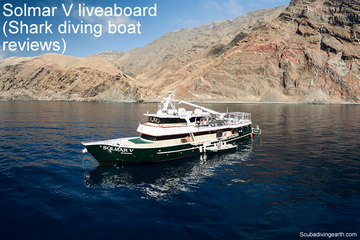 Solmar V Liveaboard Review (Shark Diving Boat Reviews)