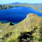 The 7 Best Budget Liveaboards Komodo (Affordable Komodo Diving) The best budget liveaboard Komodo