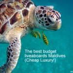 The 9 Best Budget Dive Liveaboards Maldives (Cheap Luxury!) The best budget liveaboards Maldives - Cheap Luxury small
