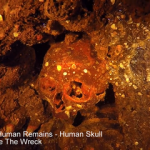 Truk Lagoon Human Remains (Is Truk Lagoon Ghost Fleet Haunted?) Truk Lagoon Human Remains - Human Skull Wedged Inside The Wreck small
