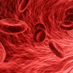 What Blood Pressure Is Too High For Diving? What Blood Pressure Is Too High For Diving?