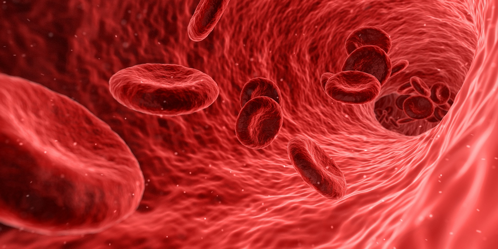 What Blood Pressure Is Too High For Diving?