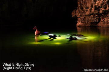 What Is Night Diving (21 Night Diving Tips)