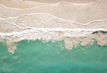 What Is Sand Made Of And Is Sand Fish Poop?