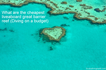 What Are The Cheapest Liveaboards Great Barrier Reef (Diving On A Budget)