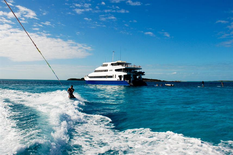Best Discounted Liveaboard Deals Bahamas Reviews (Budget Diving)