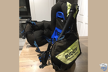 What Does BCD Stand For In Diving?