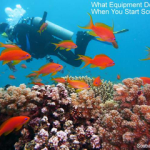 What equipment do you need when you start scuba diving for beginner scuba divers