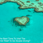 What Is The Best Time To Visit The Great Barrier Reef? (For The Best Diving) What is the best time to visit the Great Barrier Reef to go scuba diving small