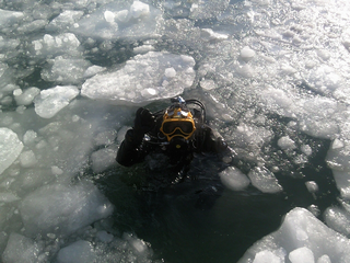 What Scuba Diving Equipment Is Needed For Antarctica?