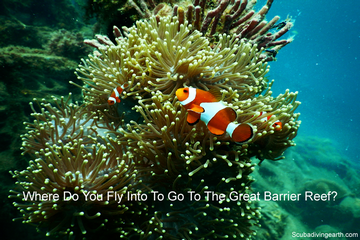 Where Do You Fly Into To Go To The Great Barrier Reef? (Nearest Airport To Fly)