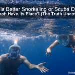 Which is Better Snorkeling or Scuba Diving? (Truth Uncovered) Which is Better Snorkelling or Scuba Diving small