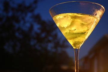 Why Is Nitrogen Narcosis Called “The Martini Effect”?