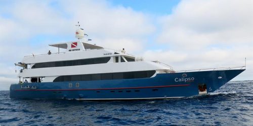 Calipso liveaboard Galapagos