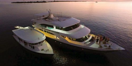 Liveaboard Special Offers & Last Minute Deals